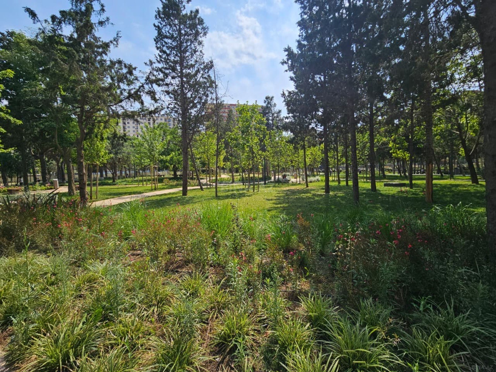 2 otaqlı yeni tikili 57 m², Nərimanov r. - şəkil 3