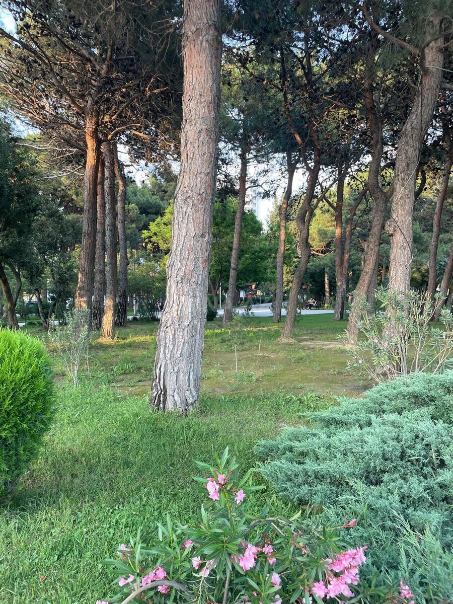 3 otaqlı yeni tikili 80 m², Elmlər Akademiyası m. - şəkil 3